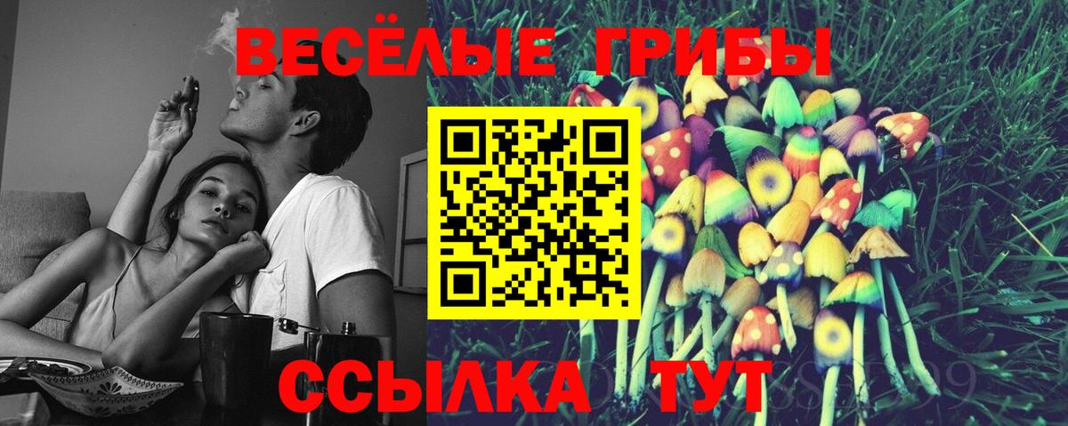 Галлюциногенные грибы мицелий Новоалександровск